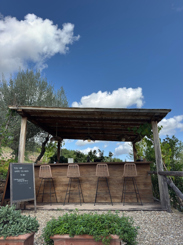 Terre Di Baccio 3/45