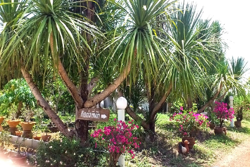 Suan Lamyai Resort 32/45