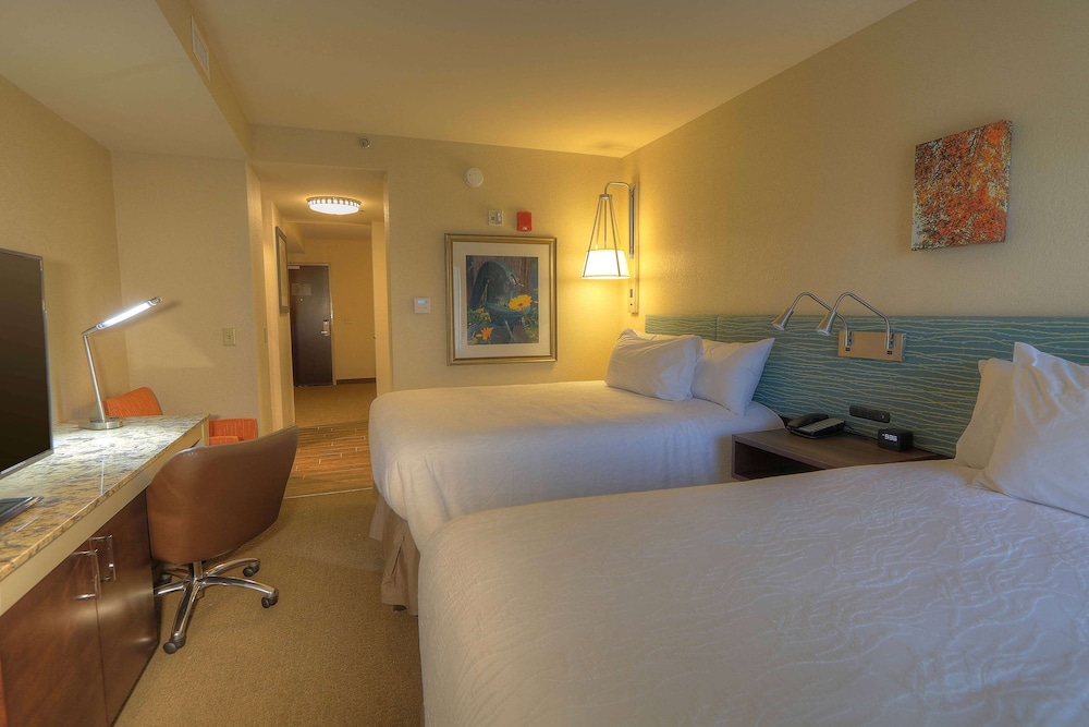Hilton Garden Inn Pigeon Forge 20/50