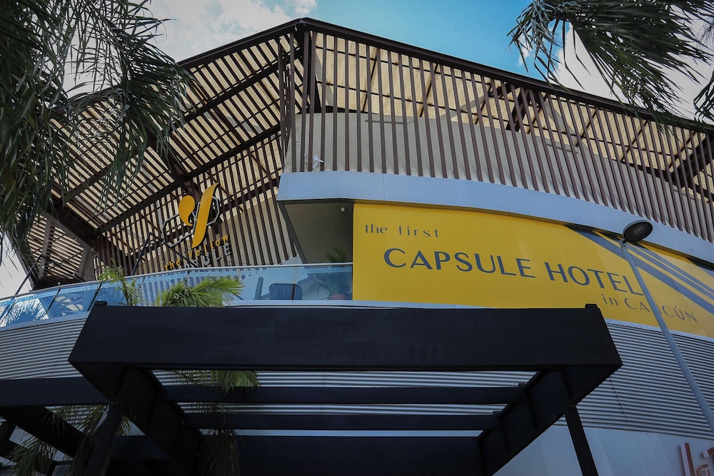 The Yellow Capsule 2/24