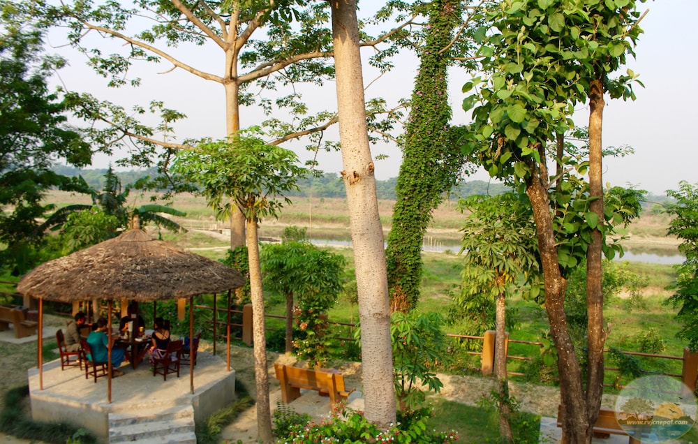 River View Jungle Camp 28/50