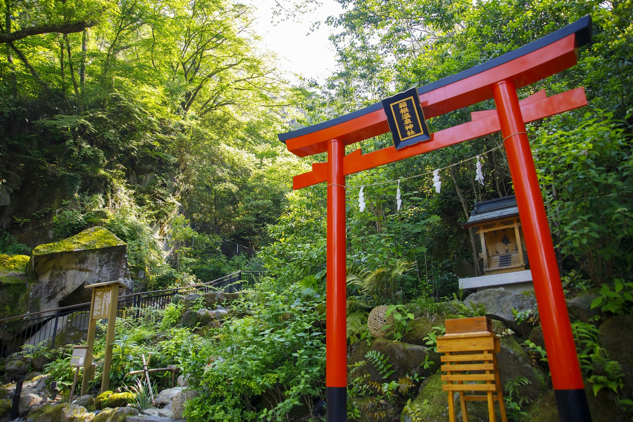 Hakone Kowakien Ten-yu 7/22