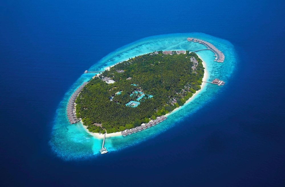Dusit Thani Maldives酒店(Dusit Thani Maldives) 图片3