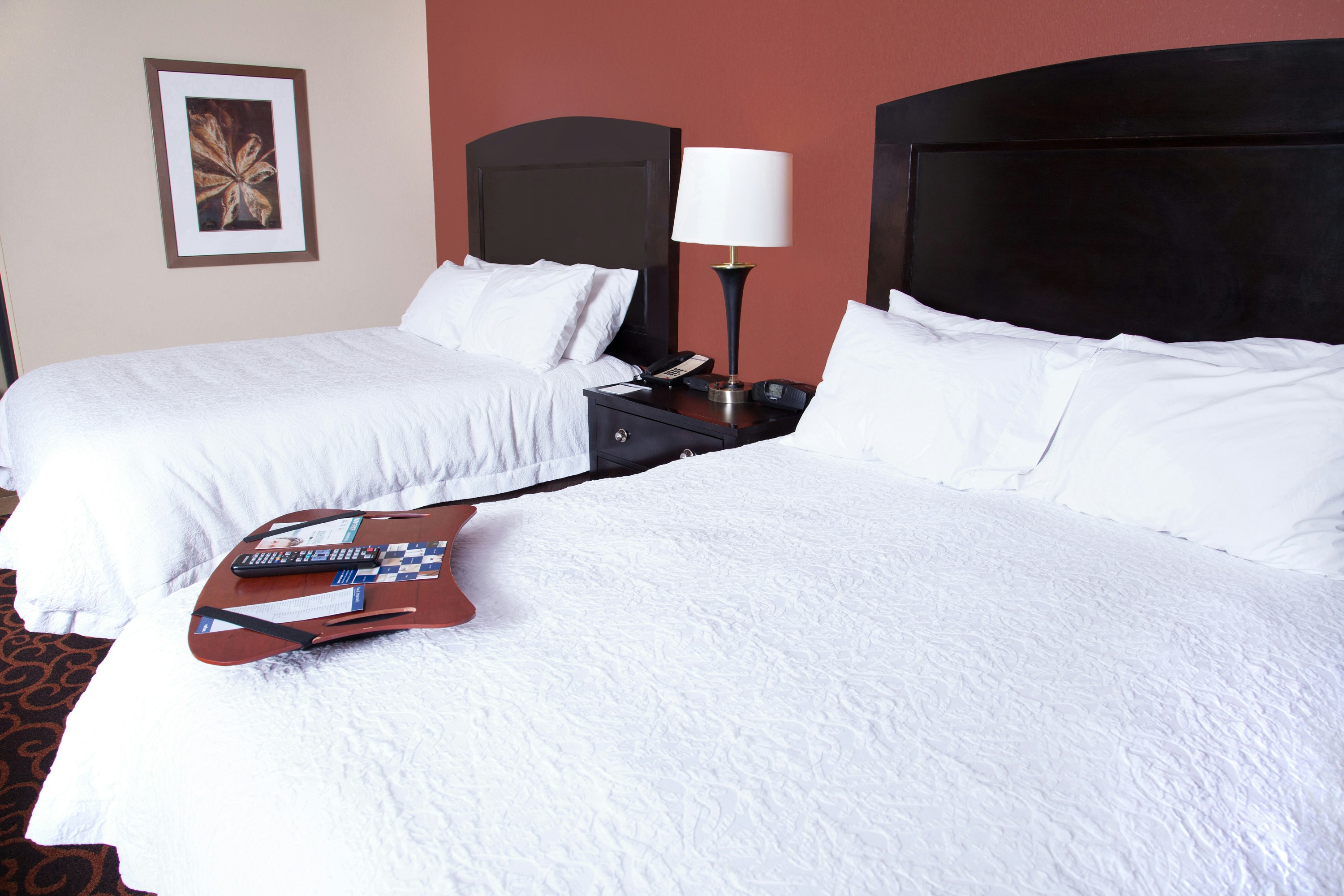 Studio, Suite, 2 Queen Beds