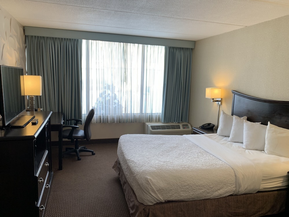 Albany Airport Inn 11/50