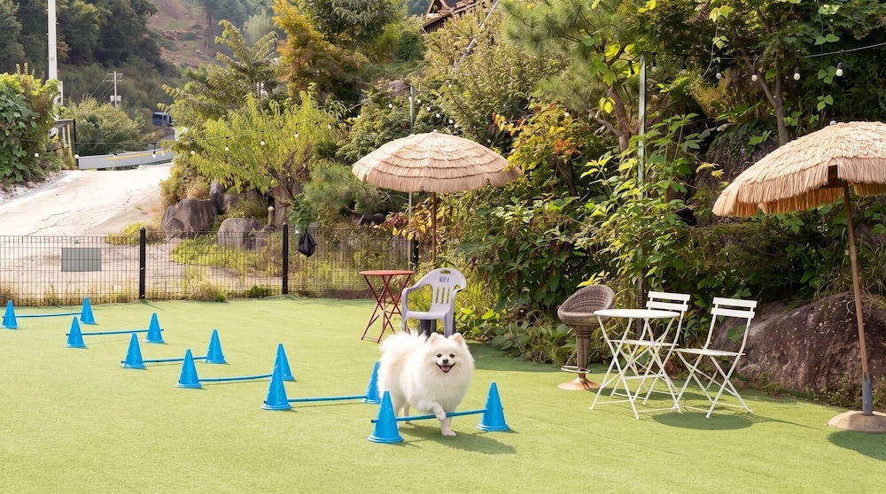 Gapyeong Alum Malu Pension 37/49