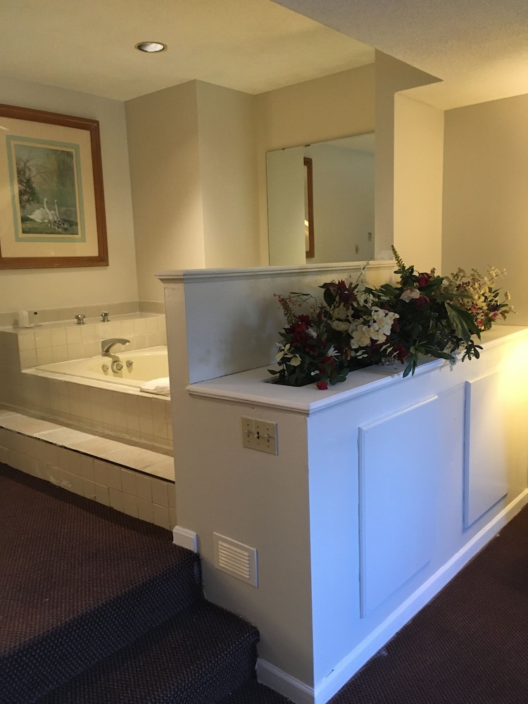 Gold Star Inn Suites 33/40