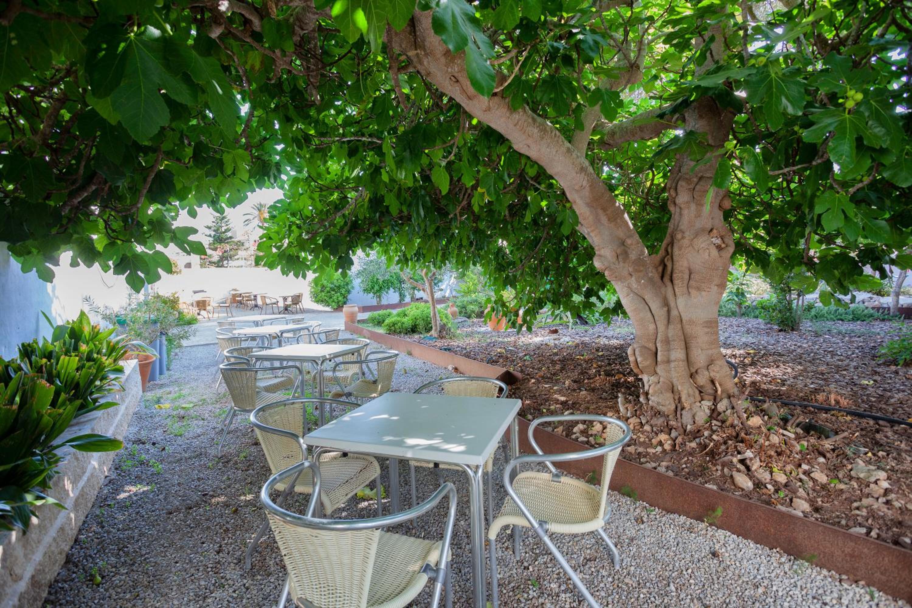Petit Garden Hotel by Flacalco 41/50