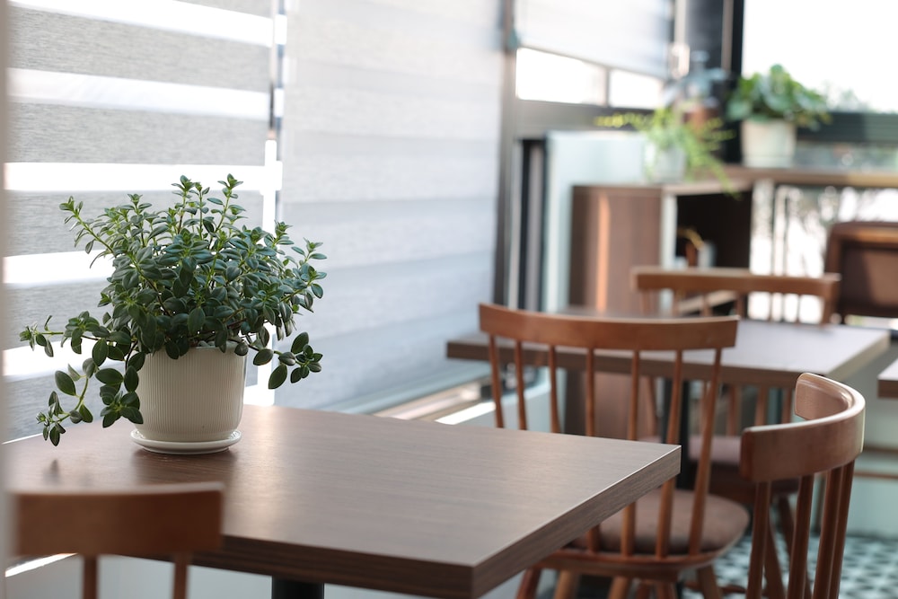 The Cosy Inn Hanoi 32/50