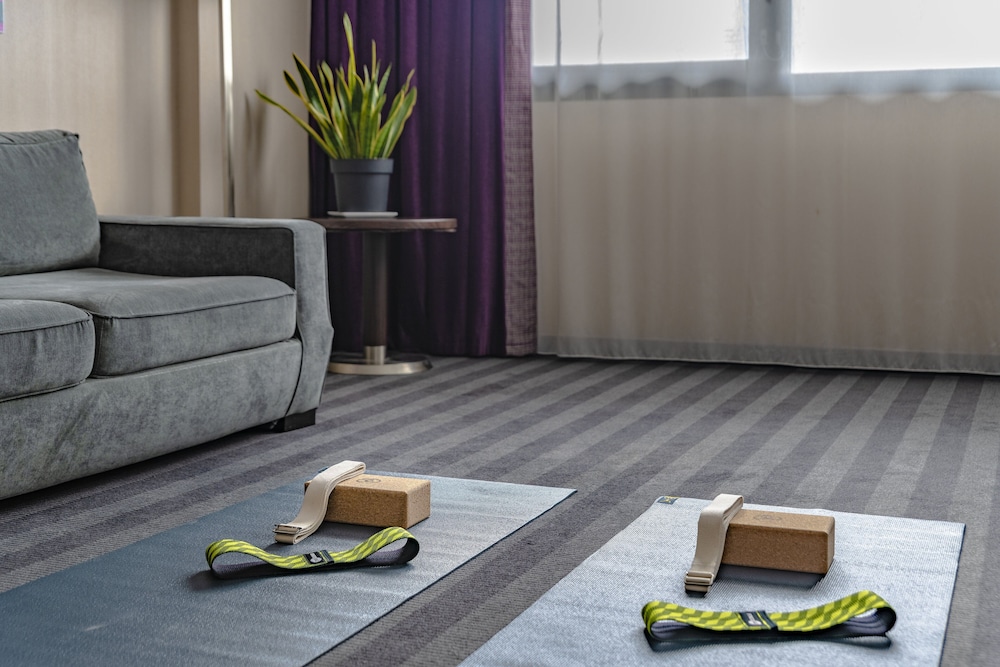 Holiday Inn Toulouse Airport 42/67