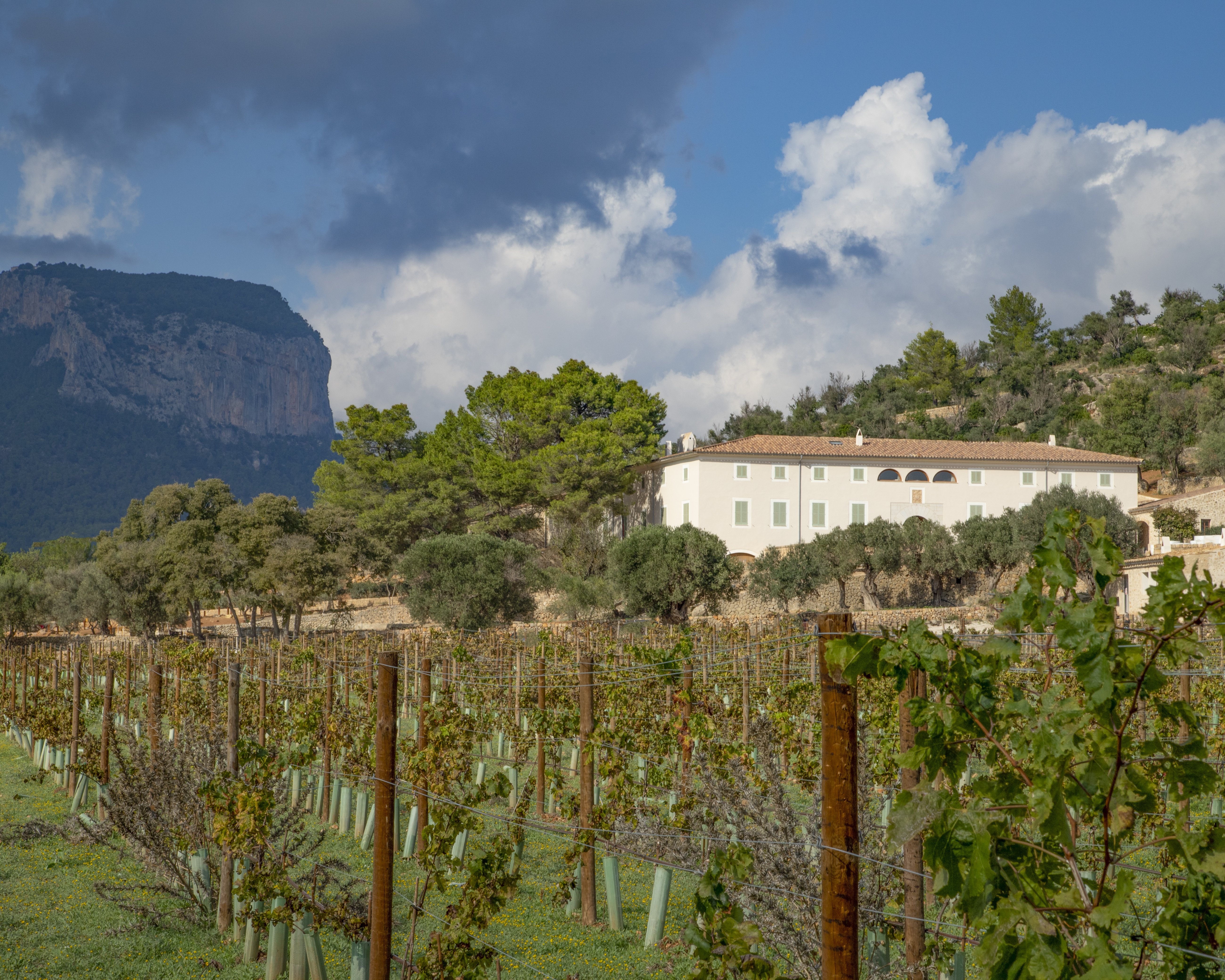 Finca Banyols, Vignette Collection by IHG 20/24