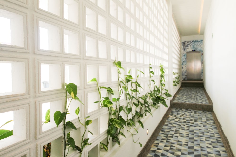 Azure Lofts And Pool photo3