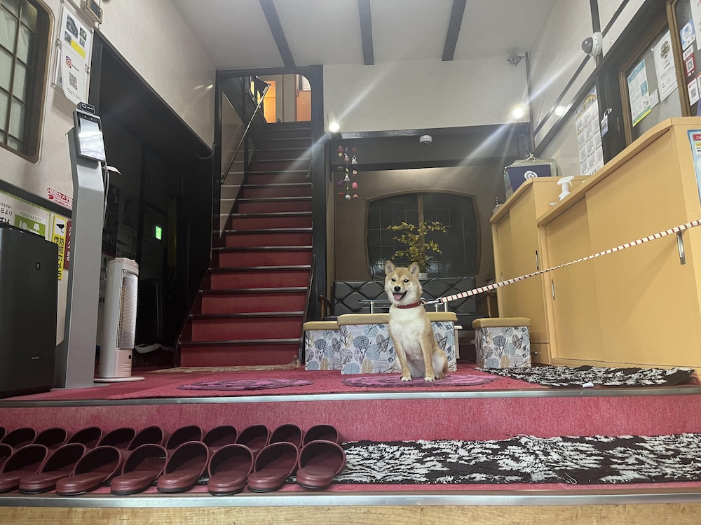 Yamamoto Ryokan 11/46