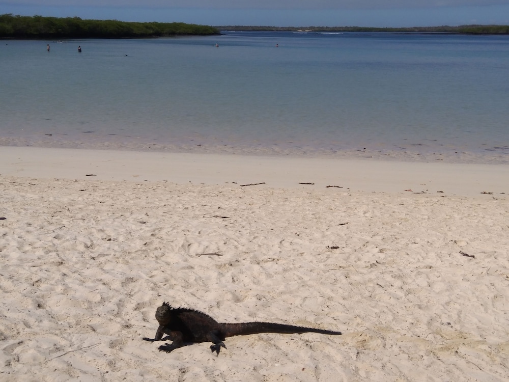 Suymar Ecolodge Galapagos 64/75