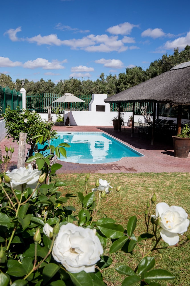 Olive Grove Guest Farm 42/50