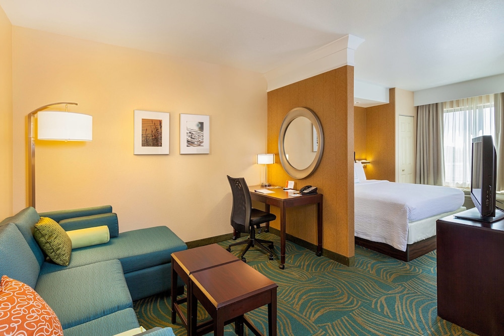 SpringHill Suites by Marriott Modesto 18/28