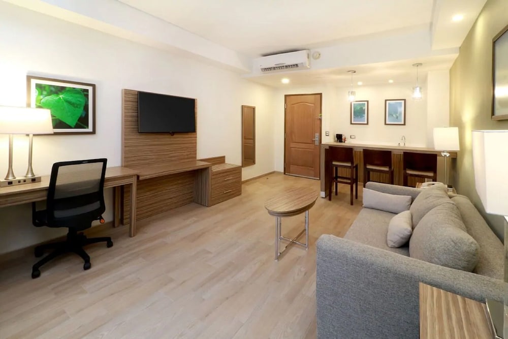 Wyndham Garden Monterrey Valle Real 18/41