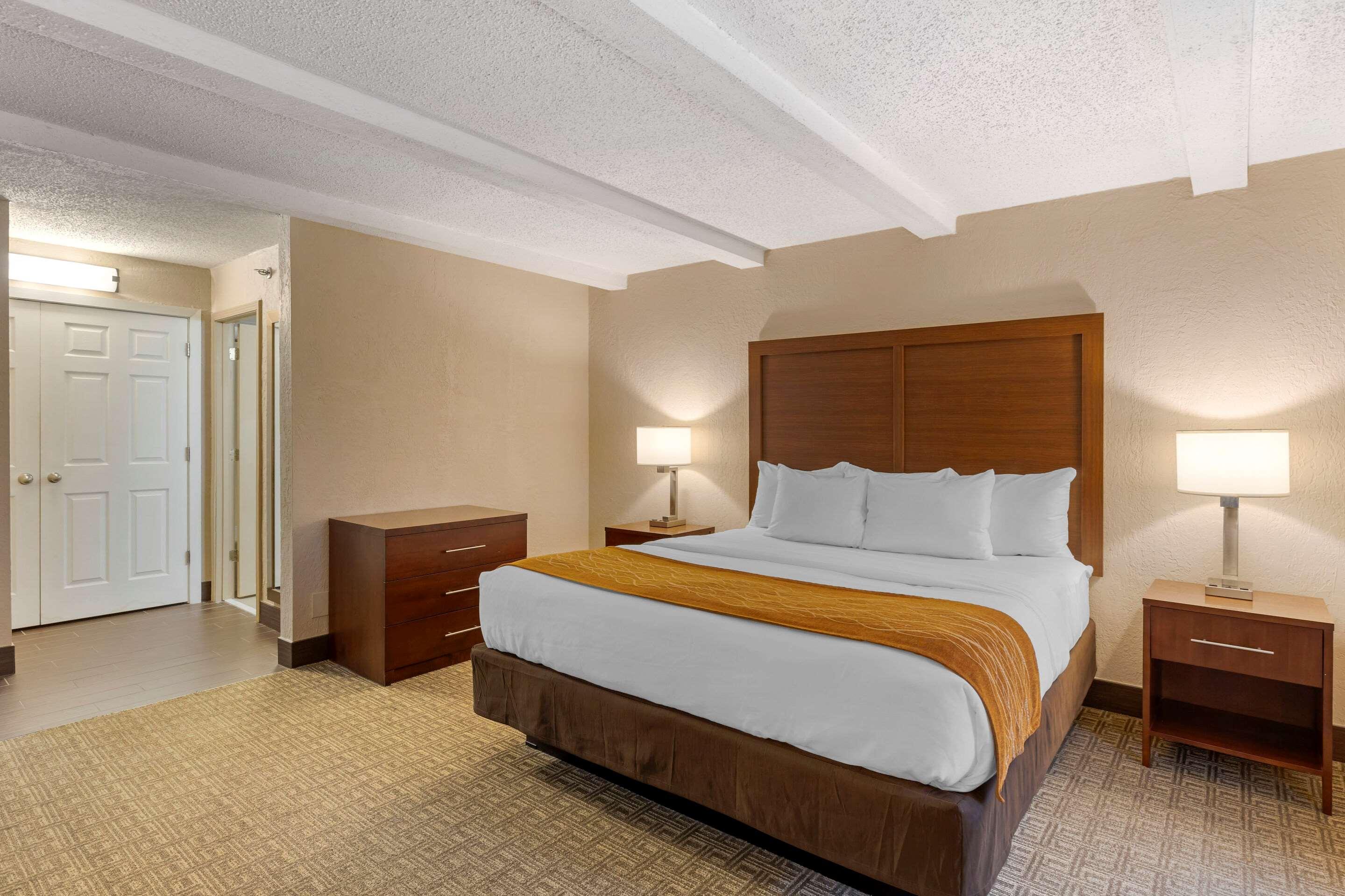 Suite, King Bed