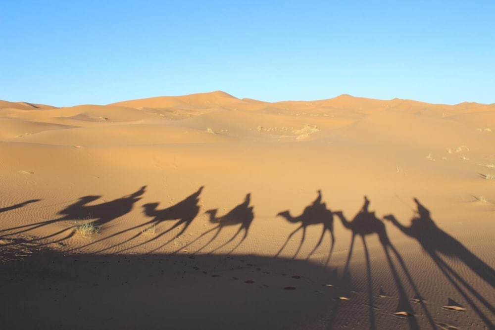 Galaxy Desert Camp Merzouga 31/37
