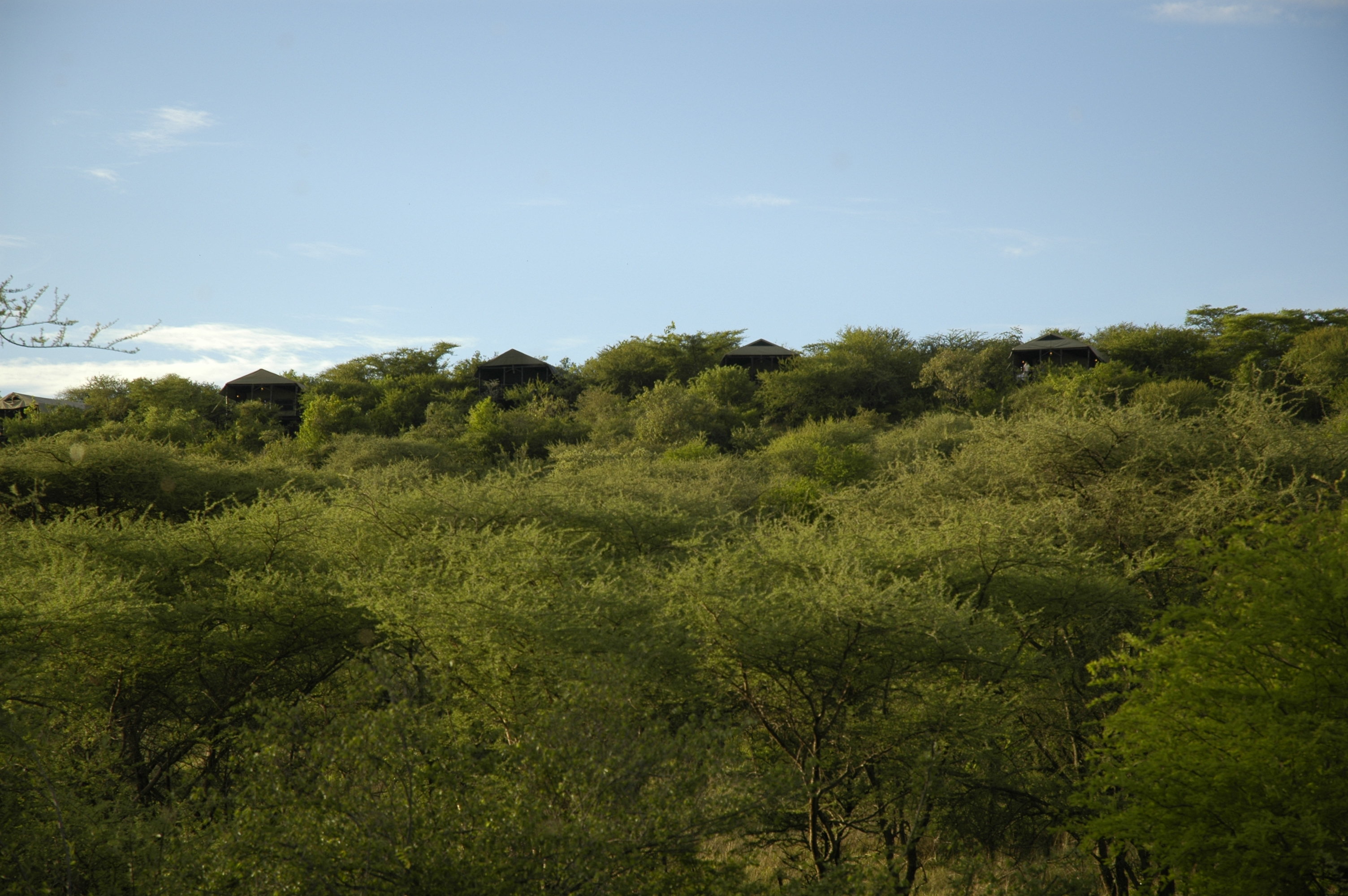 Kirawira Serena Camp 34/39