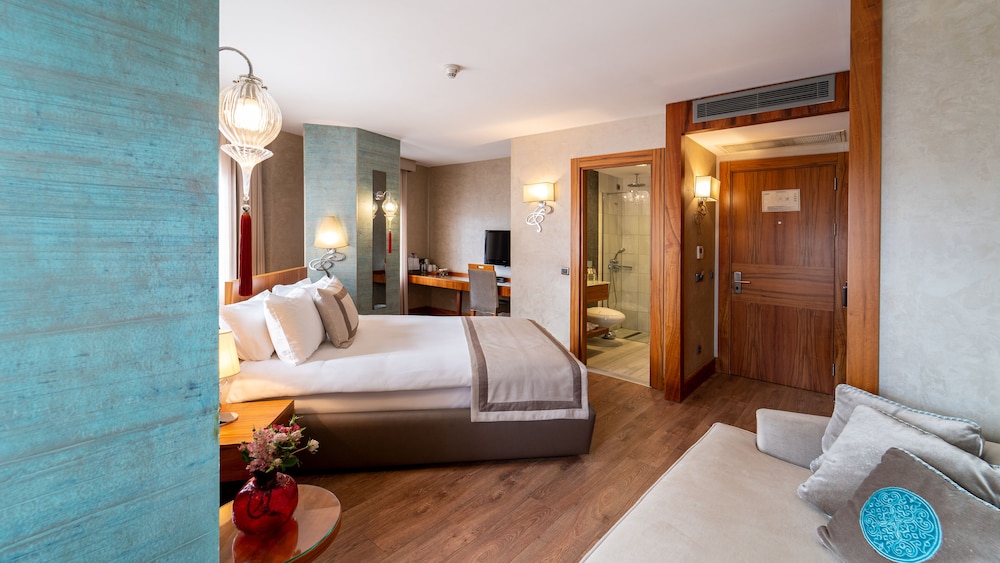 Biz Cevahir Sultanahmet Hotel 25/50