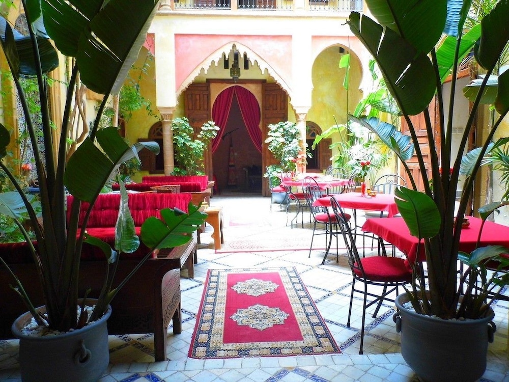 Riad Marlinea 36/50