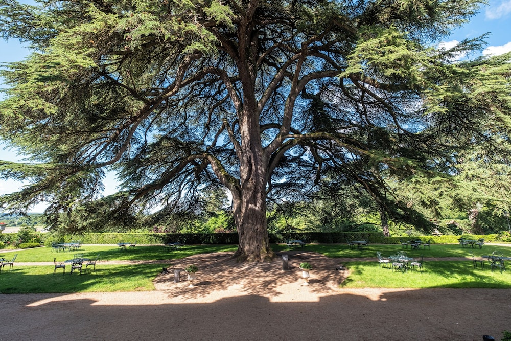 Chateau de Rochecotte 45/50