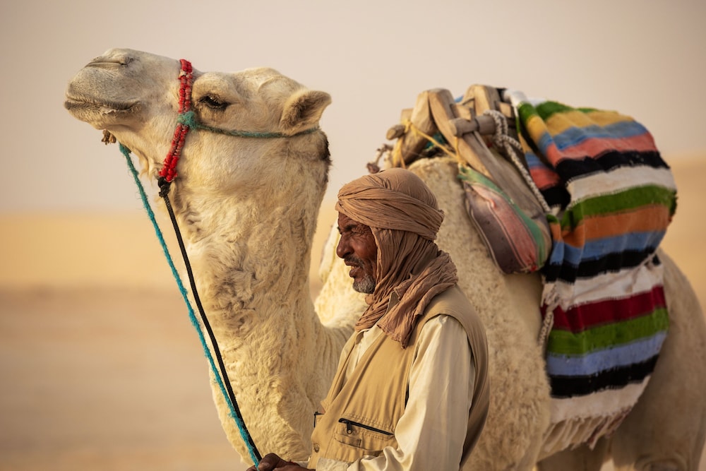 Sahara-Tozeur Resort & Villas 18/50
