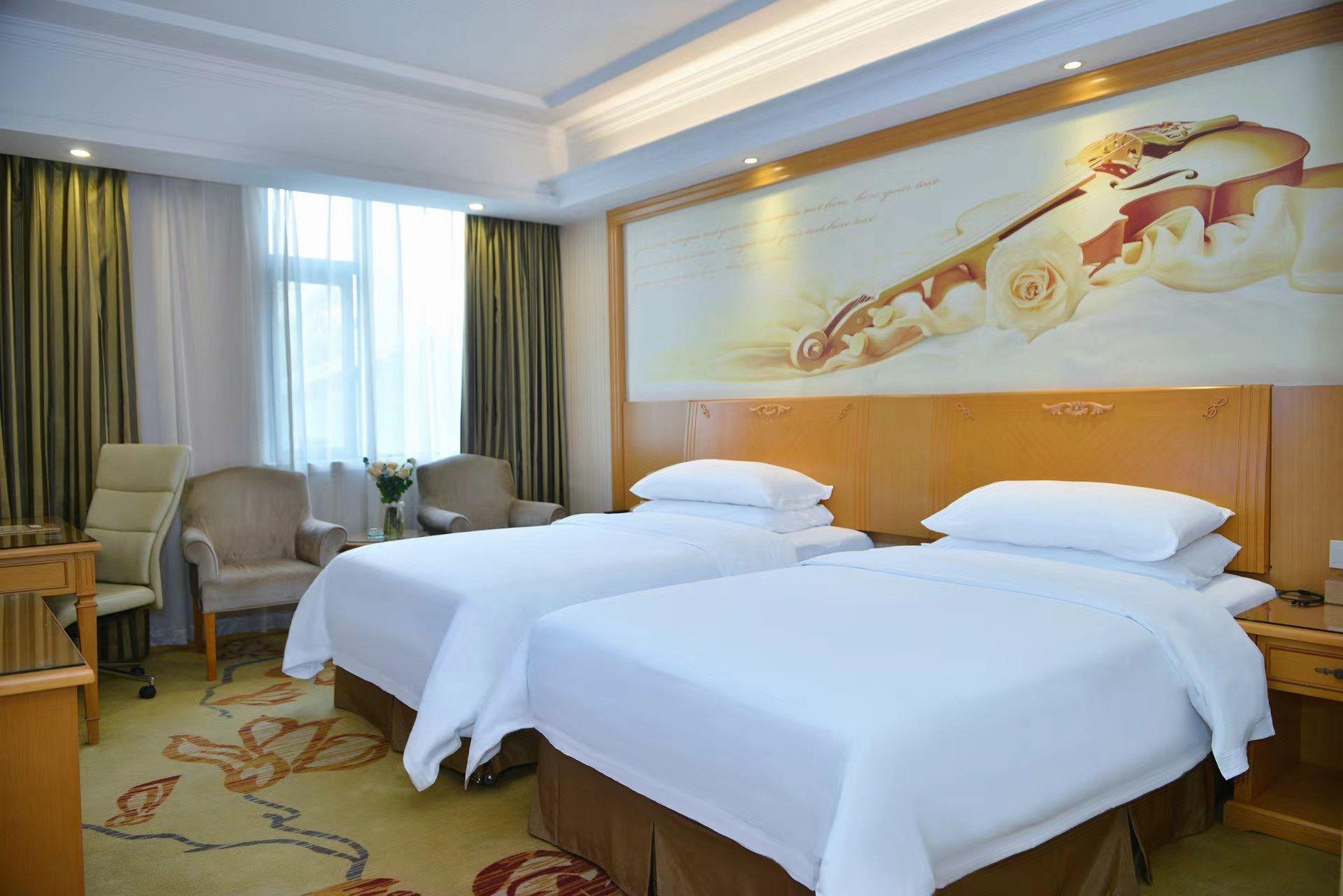 Vienna Hotel (Shenzhen Taoyuanju) 29/59