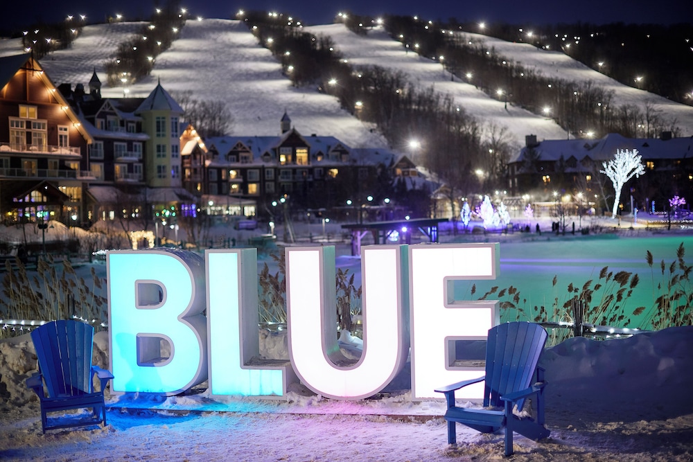 BLUE MOUNTAIN INN 17/50