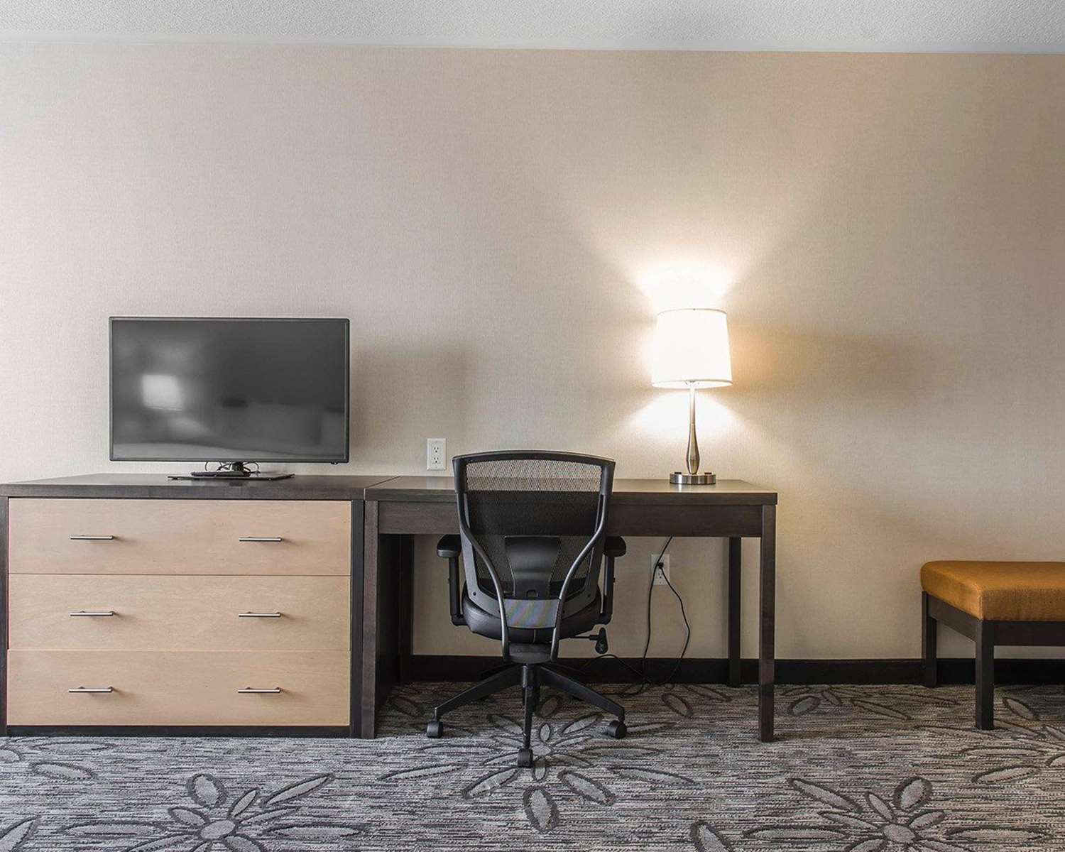 Quality Inn & Suites Kingston, ON 38/45