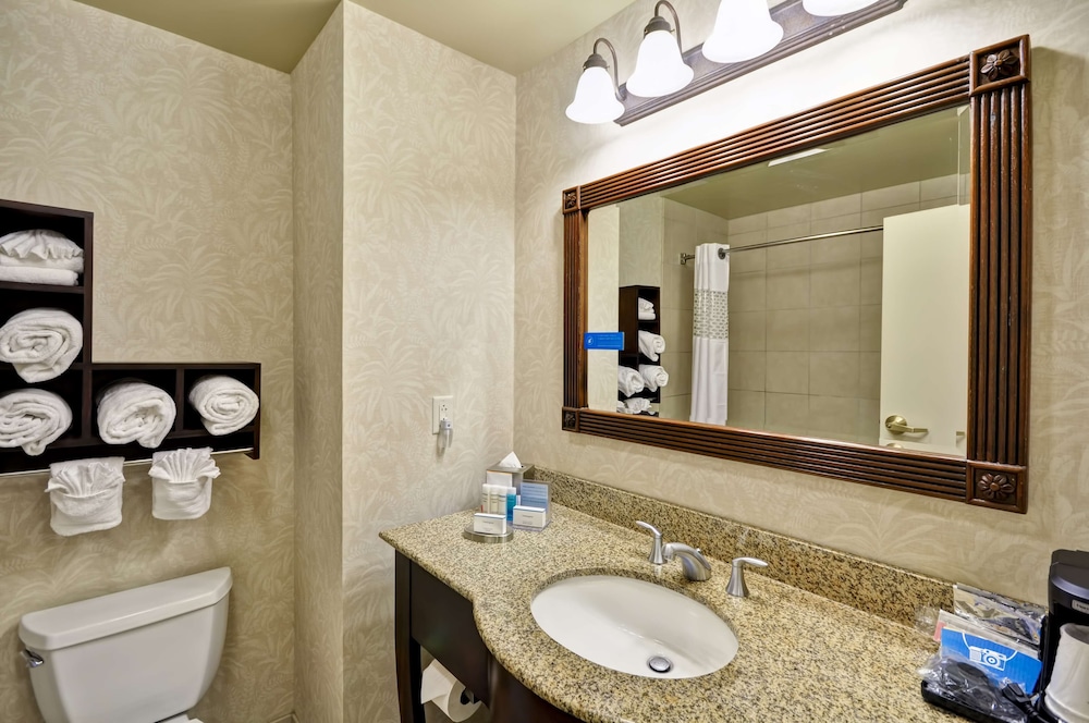 Hampton Inn & Suites North Charleston-University Blvd 20/55