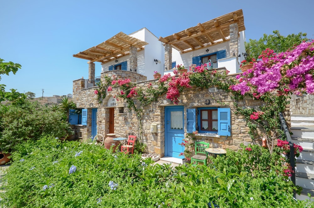 纳克索斯斐罗克斯尼娜酒店(Hotel Naxos Filoxenia) 图片1