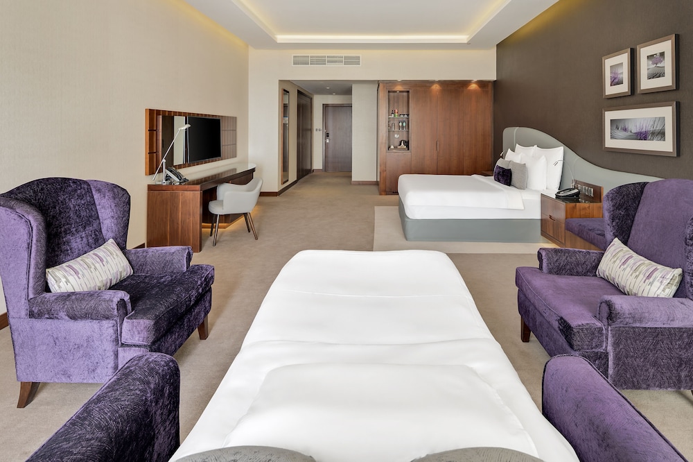 Radisson Blu Hotel Dubai Waterfront 27/78