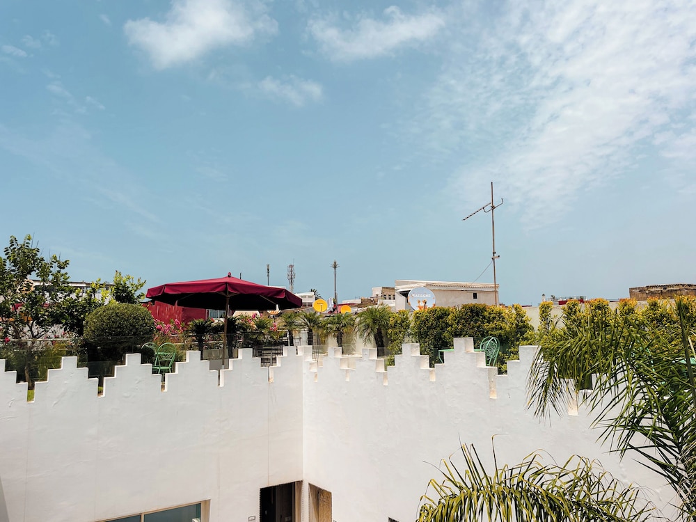 Riad Zyo 5/50