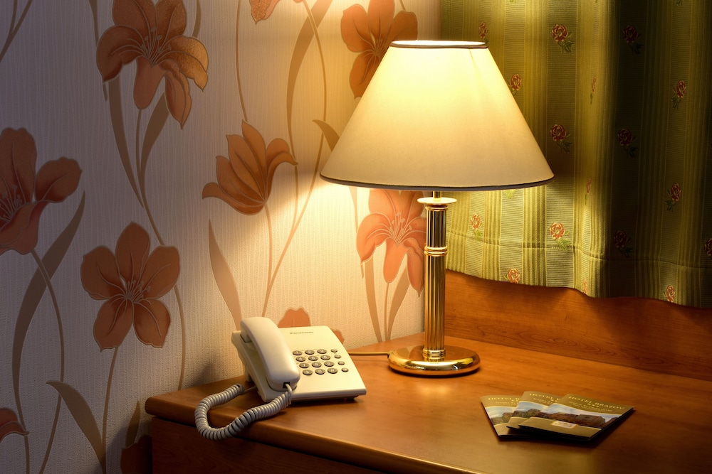 BRASOV酒店(HOTEL BRASOV) 图片3