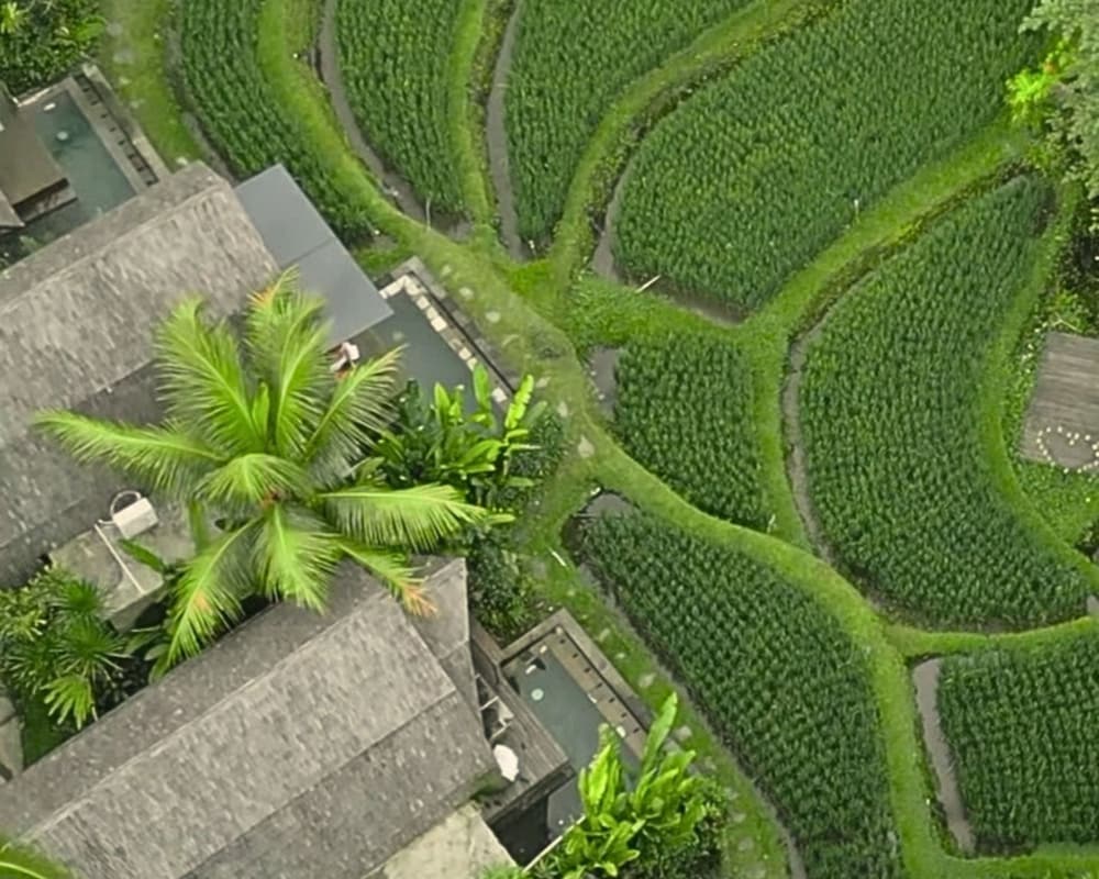 Menzel Ubud 73/79