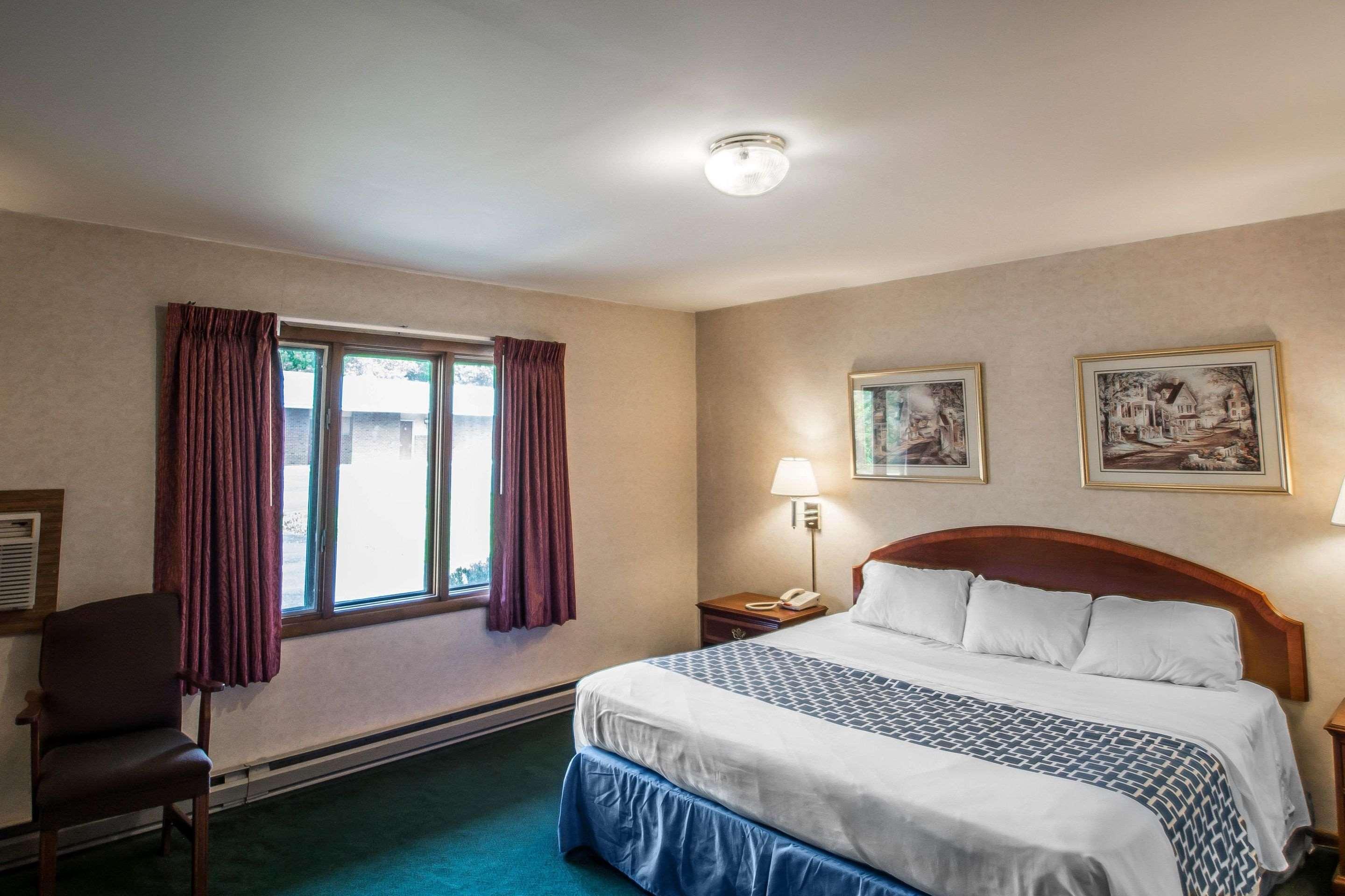 Room, King Bed