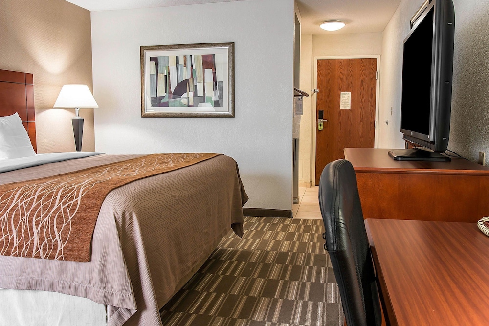Comfort Inn & Suites University South 7/28