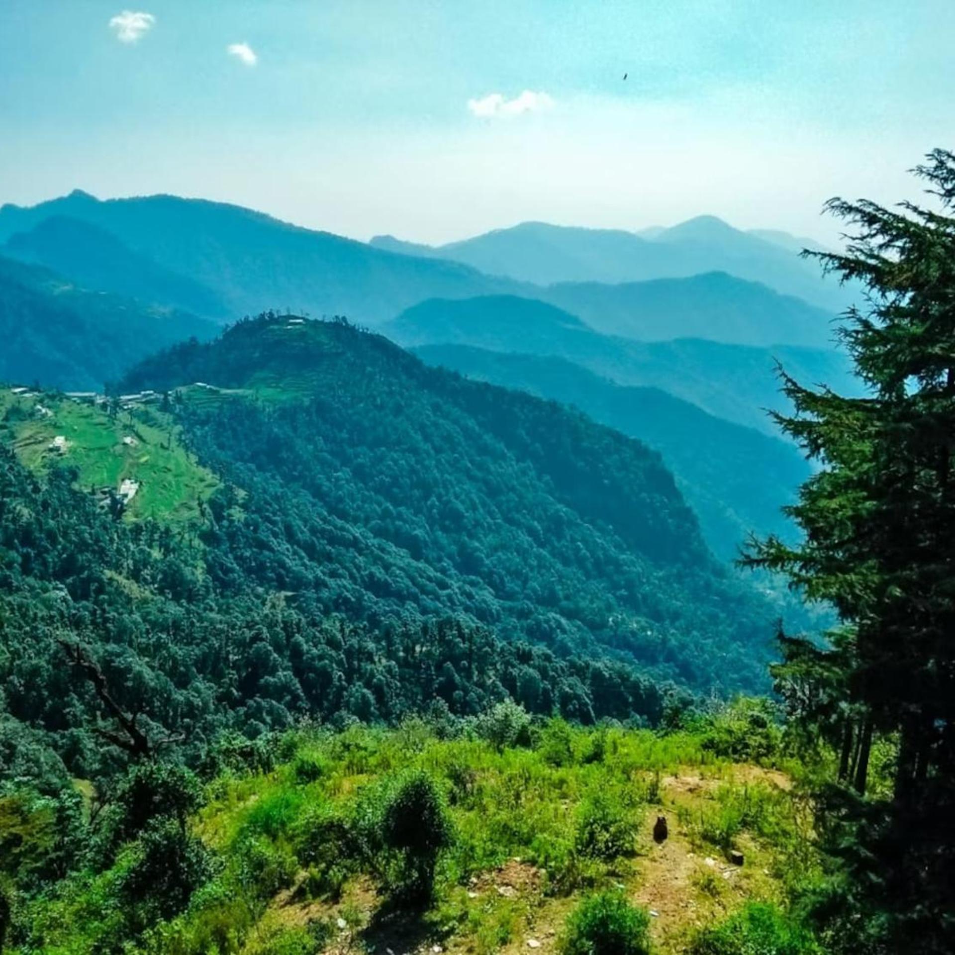 La Riqueza Dhanolti View 50/60