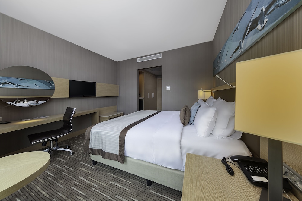 Park Dedeman Bostanci Hotel 17/52