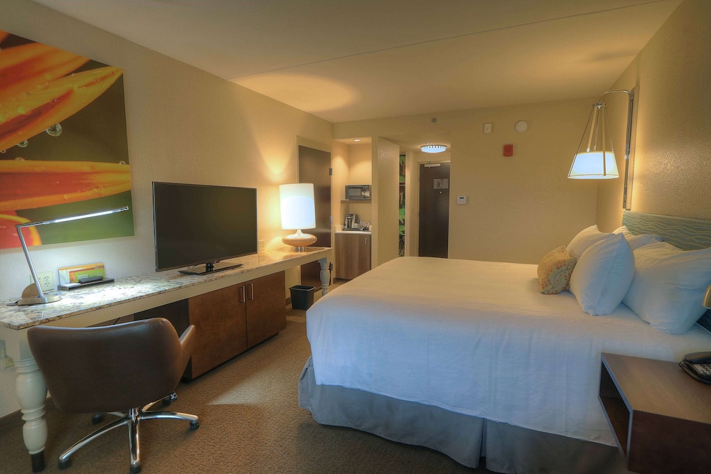 Hilton Garden Inn Pigeon Forge 18/50