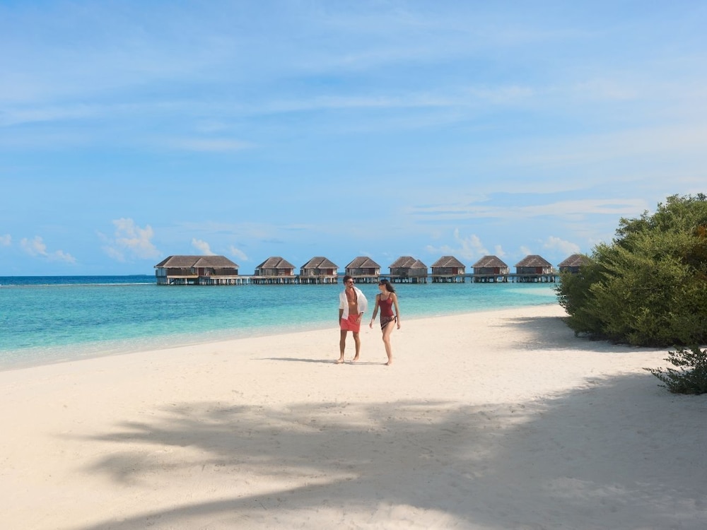 Dusit Thani Maldives 65/66