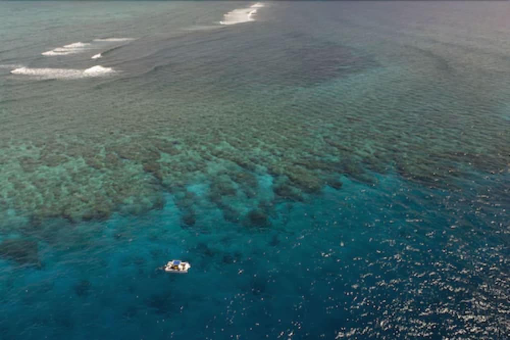 Nukubati Private Island Great Sea Reef - All Inclusive 58/62