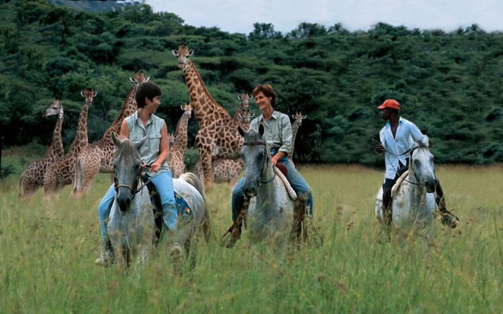 Pakamisa Private Game Reserve 27/34