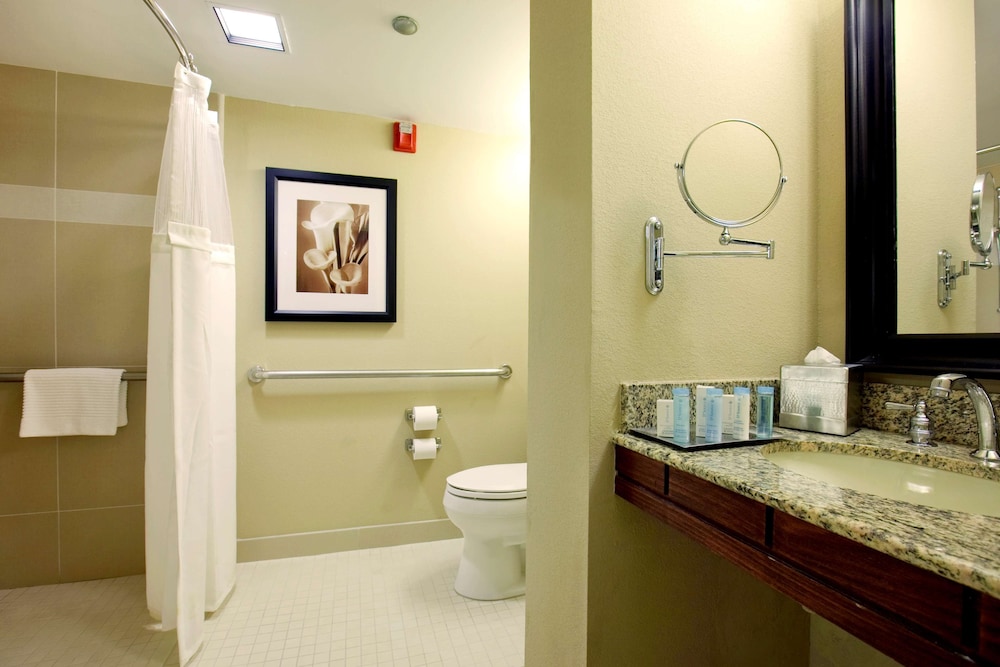 Hilton Orlando Lake Buena Vista - Disney Springs Area 19/62