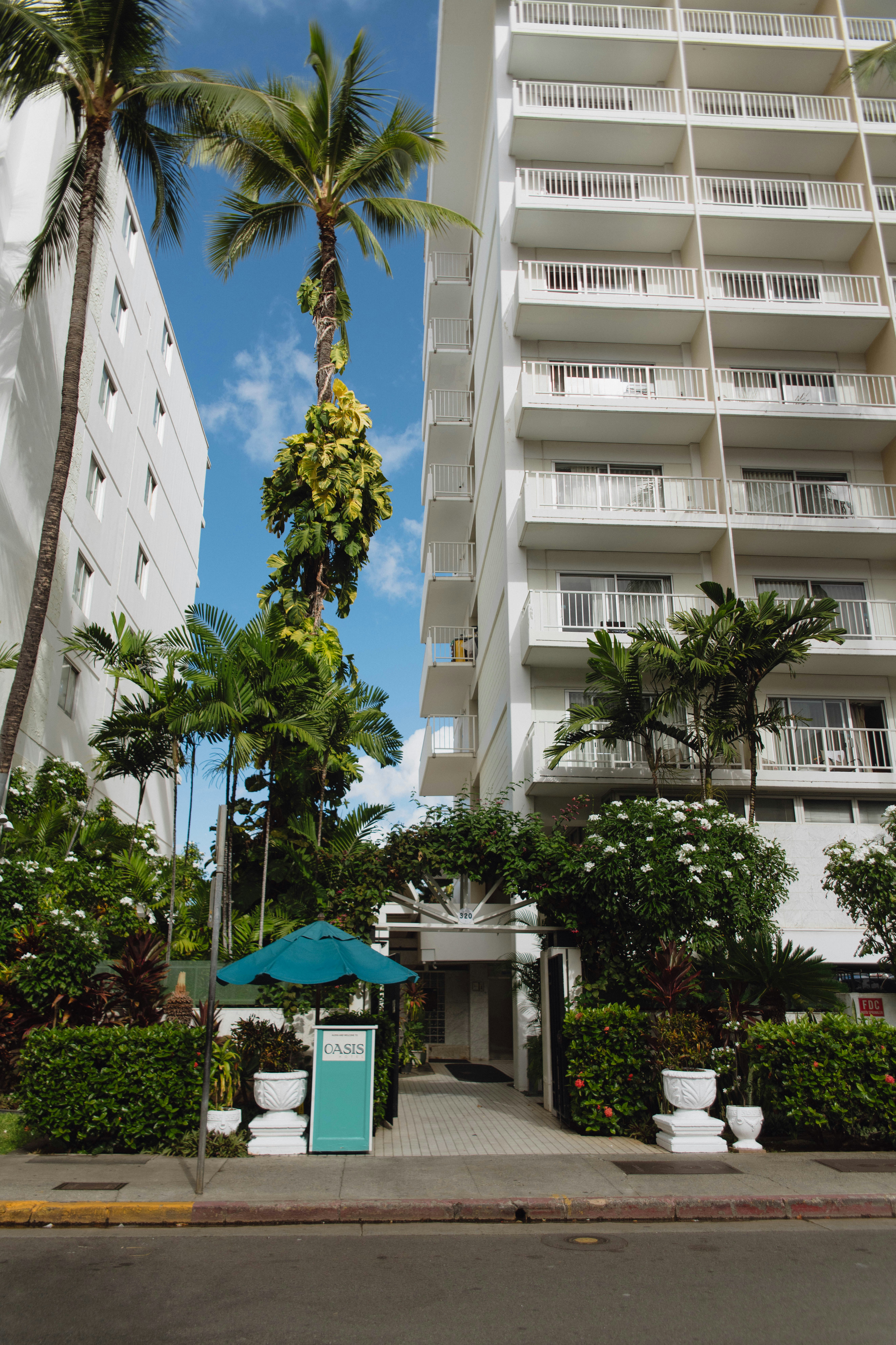 Oasis Hotel Waikiki 30/37