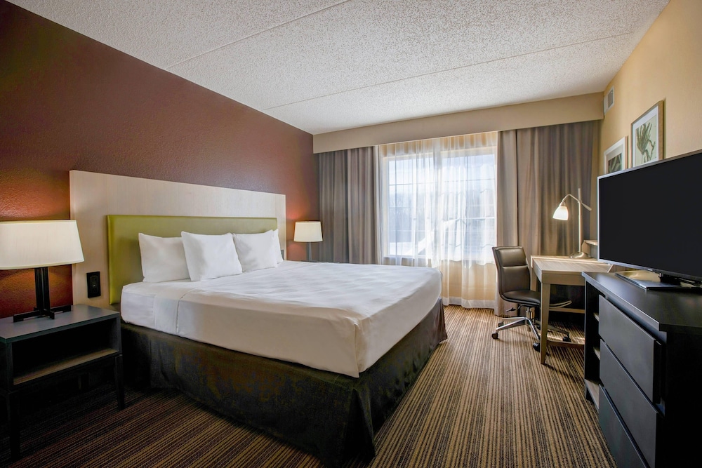 Efficiency, Suite, King Bed