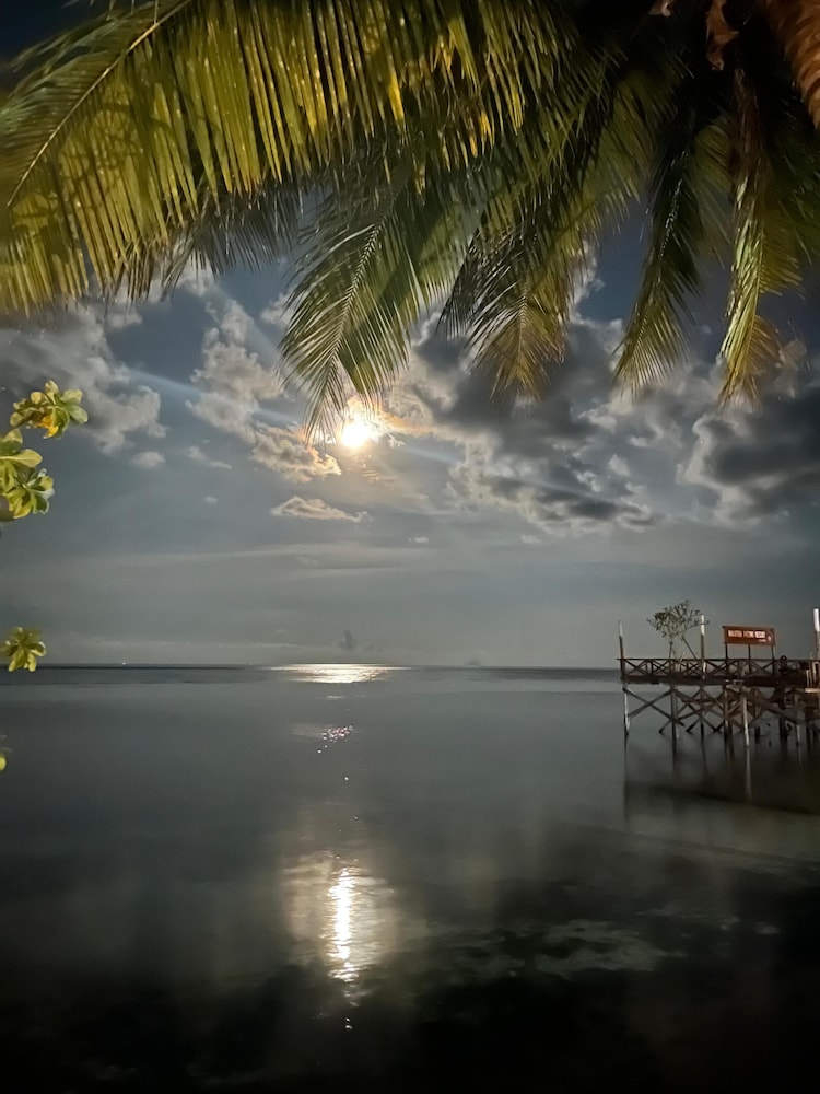 Wakatobi Patuno Resort by SAHID 38/58