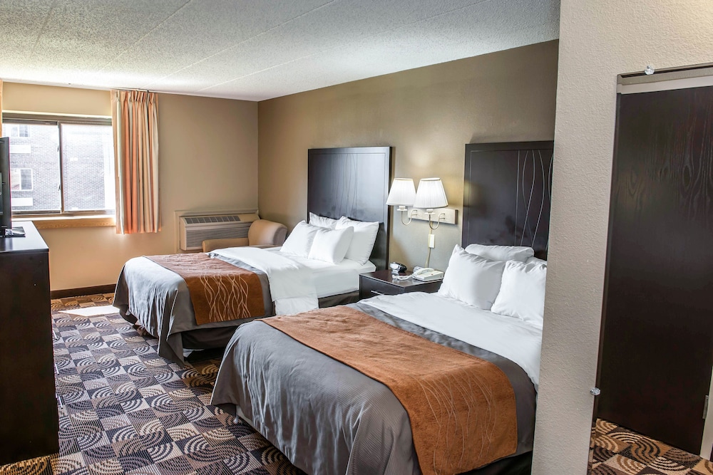 Comfort Inn & Suites Indianapolis Northwest - College Park 13/39